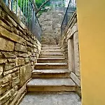 Zar 6 * 的里雅斯特