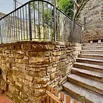 Zar 6 * 的里雅斯特