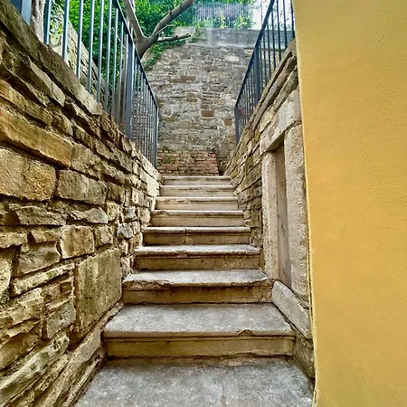 Zar 6 * Trieste