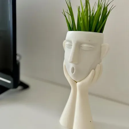 Zar 6 Τεργέστη